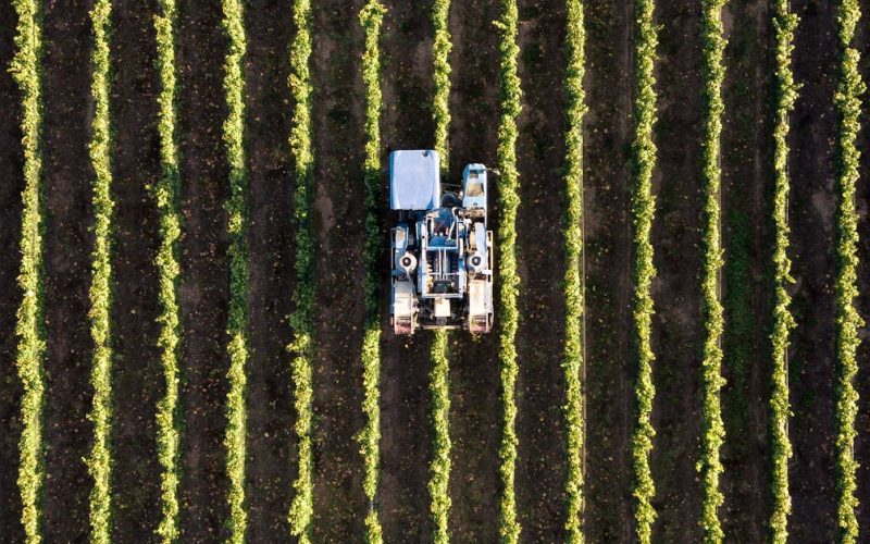 Desarrollo Rural en Gambia: RSE, agricultura y cadenas de valor justas